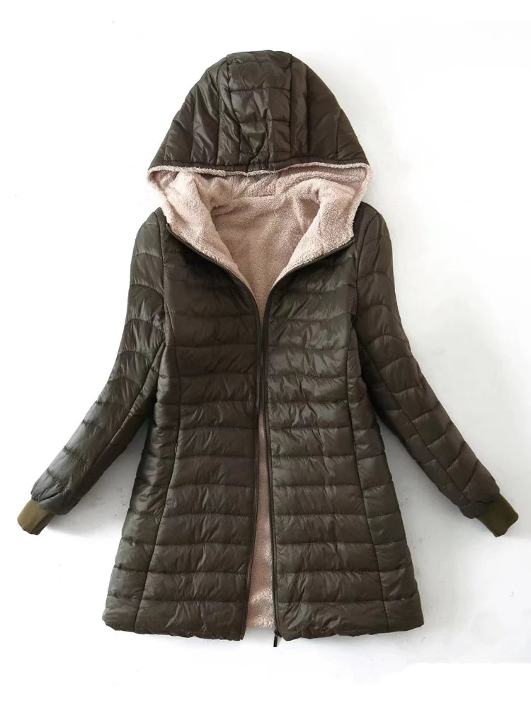 Winter Korean Style Cotton Coat